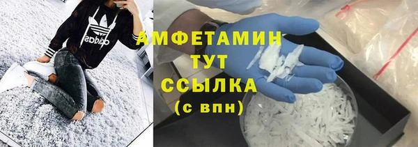 крисы Горняк