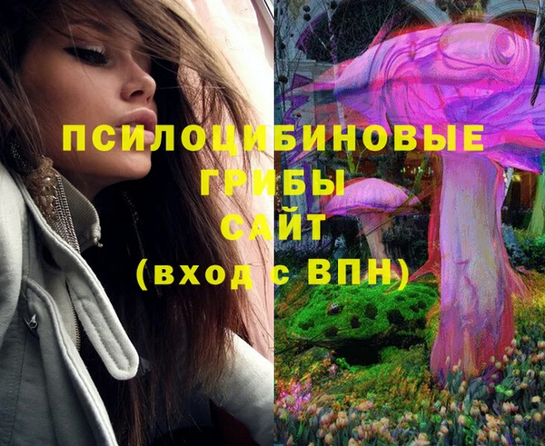 МДМА Горнозаводск