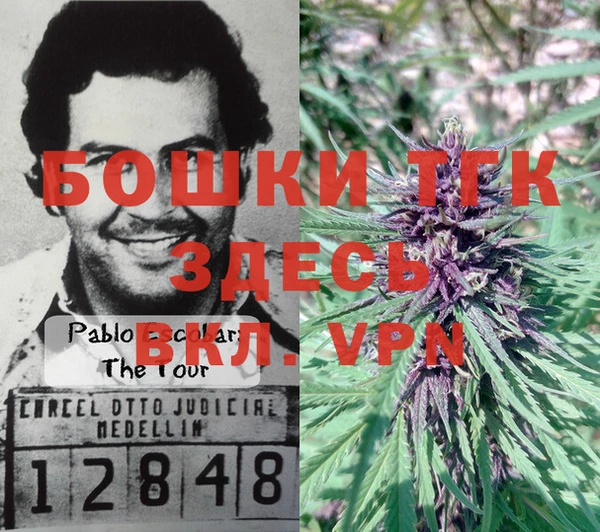 спайс Алзамай