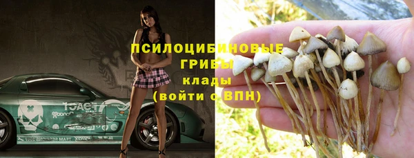 прущие крисы Алексин