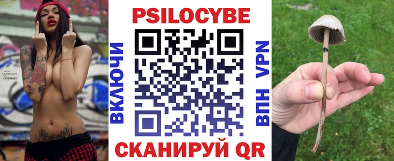 Псилоцибиновые грибы GOLDEN TEACHER гидра сайт Кирово-Чепецк где купить