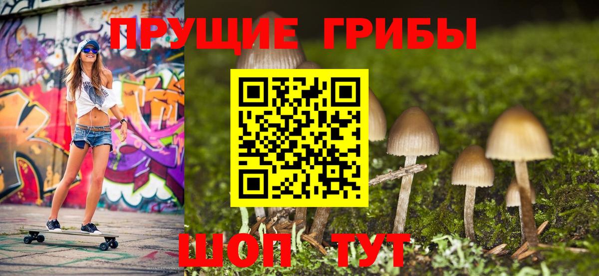 Галлюциногенные грибы GOLDEN TEACHER  Вход с VPN  Кирово-Чепецк 